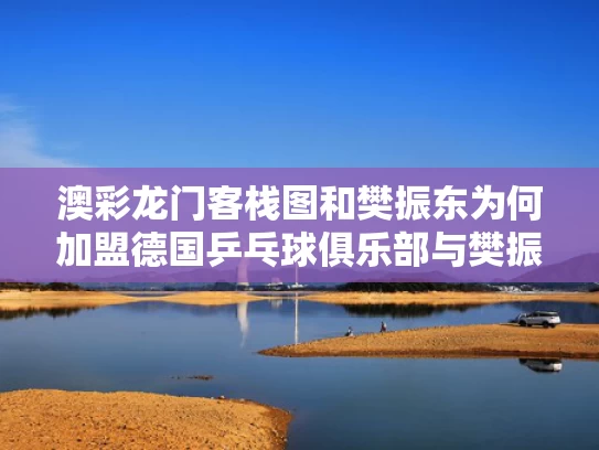 澳彩龙门客栈图	和樊振东为何加盟德国乒乓球俱乐部与樊振东和德国选手