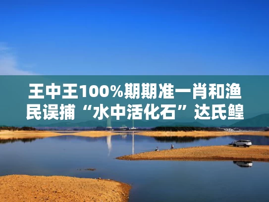 王中王100%期期准一肖和渔民误捕“水中活化石”达氏鳇与