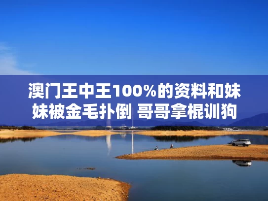 澳门王中王100%的资料和妹妹被金毛扑倒 哥哥拿棍训狗与