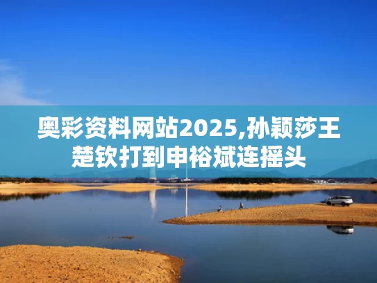 奥彩资料网站2025,孙颖莎王楚钦打到申裕斌连摇头