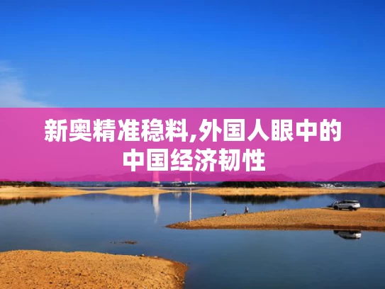 新奥精准稳料,外国人眼中的中国经济韧性