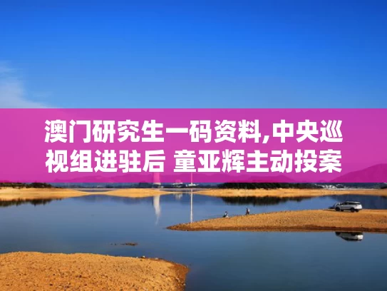 澳门研究生一码资料,中央巡视组进驻后 童亚辉主动投案