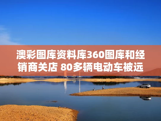 澳彩图库资料库360图库和经销商关店 80多辆电动车被远程锁死与电瓶车远程控制锁