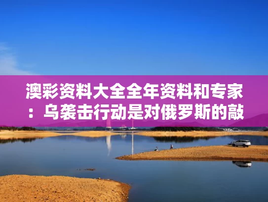 澳彩资料大全全年资料	和专家：乌袭击行动是对俄罗斯的敲打与乌克兰袭击
