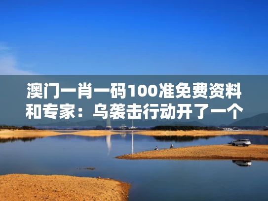澳门一肖一码100准免费资料和专家：乌袭击行动开了一个危险先例与袭击乌巢是谁的计谋