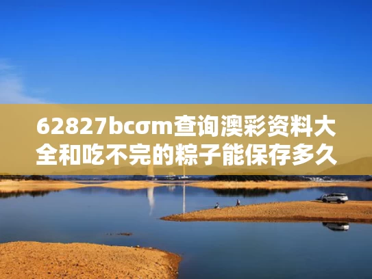 62827bcσm查询澳彩资料大全和吃不完的粽子能保存多久与吃不完的粽子可以放冰箱吗