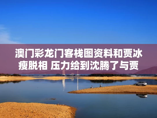 澳门彩龙门客栈图资料	和贾冰瘦脱相 压力给到沈腾了与贾冰暴瘦