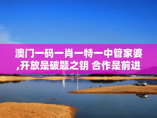 澳门一码一肖一特一中管家婆,开放是破题之钥 合作是前进之道