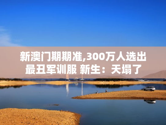 新澳门期期准,300万人选出最丑军训服 新生：天塌了