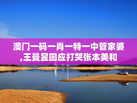 澳门一码一肖一特一中管家婆,王曼昱回应打哭张本美和