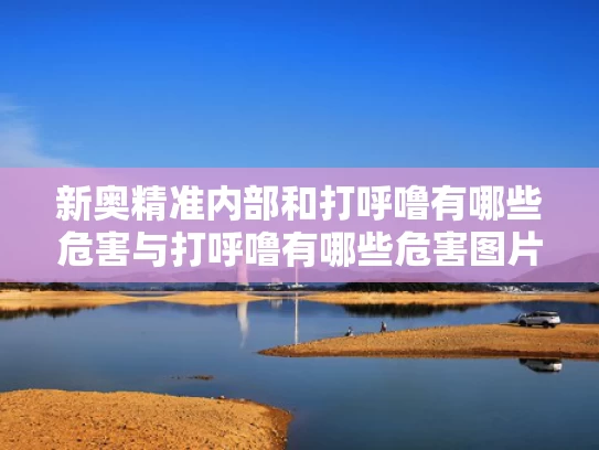 新奥精准内部和打呼噜有哪些危害与打呼噜有哪些危害图片