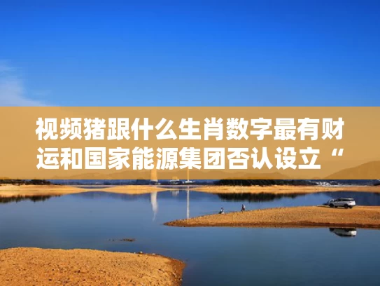 视频猪跟什么生肖数字最有财运和国家能源集团否认设立“拓展中心”与