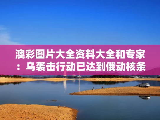 澳彩图片大全资料大全	和专家：乌袭击行动已达到俄动核条件与乌俄大战一触即发