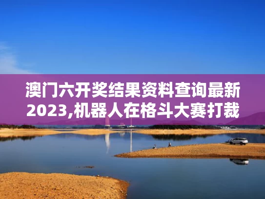 澳门六开奖结果资料查询最新2023,机器人在格斗大赛打裁判