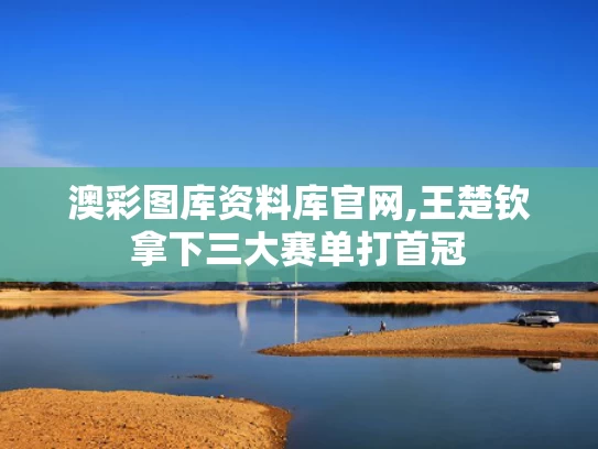 澳彩图库资料库官网,王楚钦拿下三大赛单打首冠