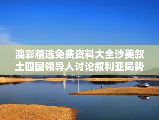 澳彩精选免费资料大全	沙美叙土四国领导人讨论叙利亚局势