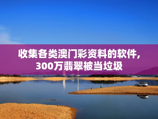 收集各类澳门彩资料的软件,300万翡翠被当垃圾