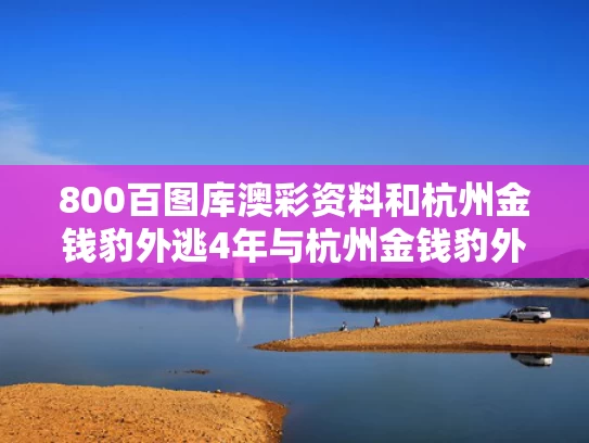 800百图库澳彩资料	和杭州金钱豹外逃4年与杭州金钱豹外逃视频