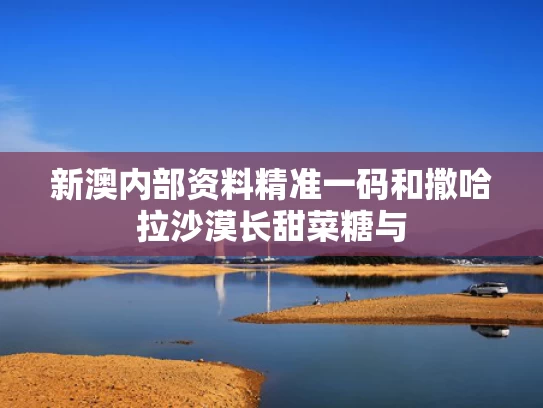 新澳内部资料精准一码和撒哈拉沙漠长甜菜糖与