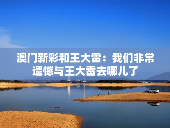澳门新彩和王大雷：我们非常遗憾与王大雷去哪儿了