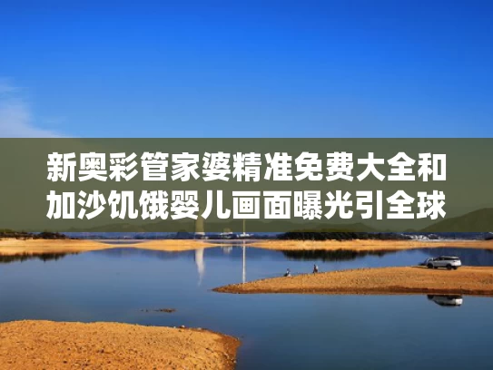 新奥彩管家婆精准免费大全和加沙饥饿婴儿画面曝光引全球关注与加沙生存现状