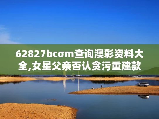 2025年5月17日 第8页