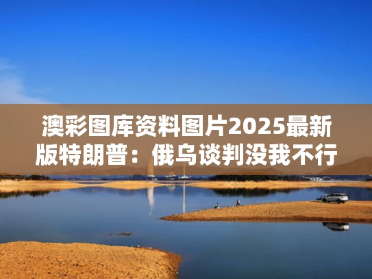 澳彩图库资料图片2025最新版	特朗普：俄乌谈判没我不行