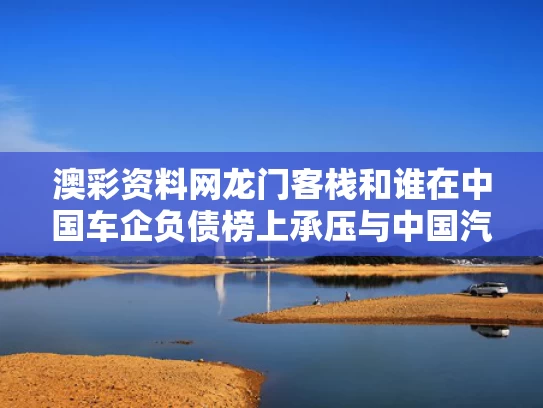 澳彩资料网龙门客栈和谁在中国车企负债榜上承压与中国汽车行业富豪榜