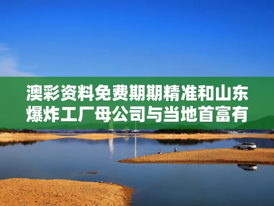 澳彩资料免费期期精准	和山东爆炸工厂母公司与当地首富有关与山东省爆炸事件