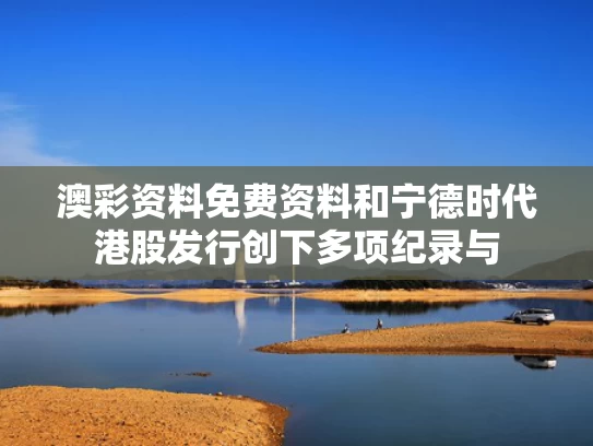 澳彩资料免费资料	和宁德时代港股发行创下多项纪录与