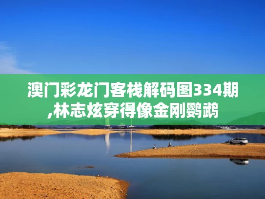 澳门彩龙门客栈解码图334期,林志炫穿得像金刚鹦鹉