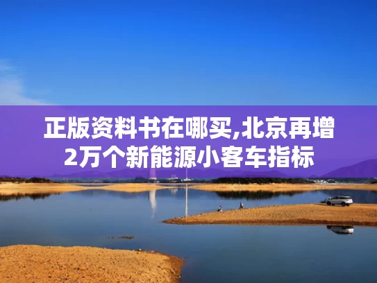正版资料书在哪买,北京再增2万个新能源小客车指标