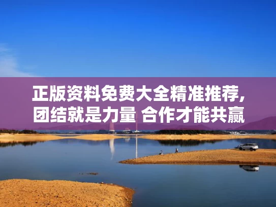 正版资料免费大全精准推荐,团结就是力量 合作才能共赢