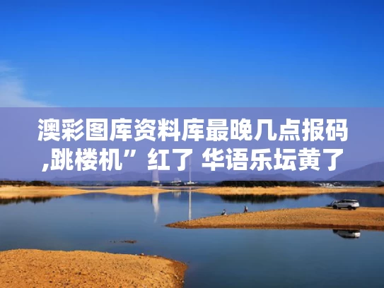 澳彩图库资料库最晚几点报码,跳楼机”红了 华语乐坛黄了