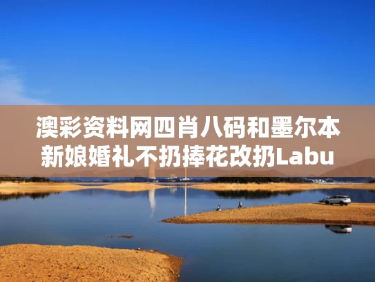 澳彩资料网四肖八码	和墨尔本新娘婚礼不扔捧花改扔Labubu与墨尔本结婚流程