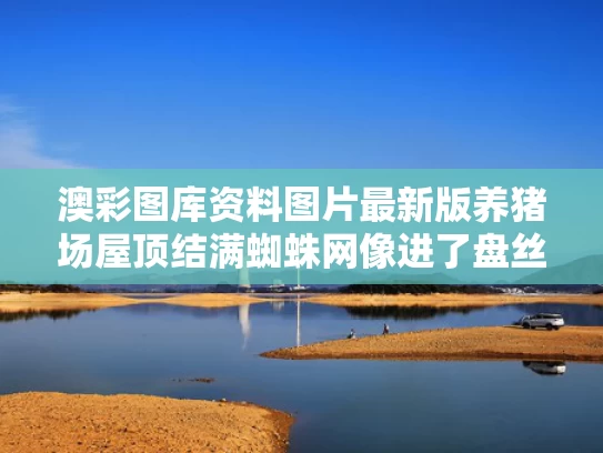 2025年5月18日