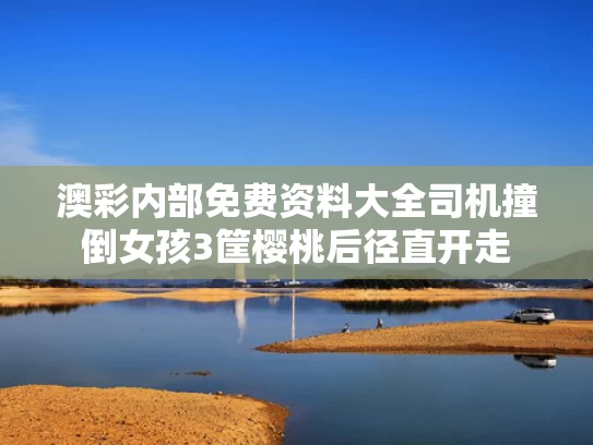 澳彩内部免费资料大全	司机撞倒女孩3筐樱桃后径直开走