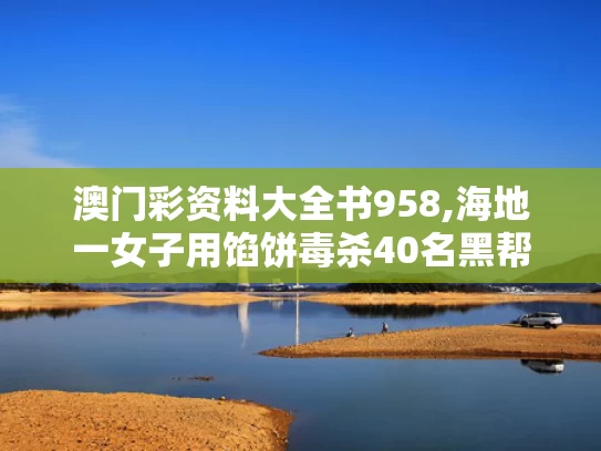 澳门彩资料大全书958,海地一女子用馅饼毒杀40名黑帮分子