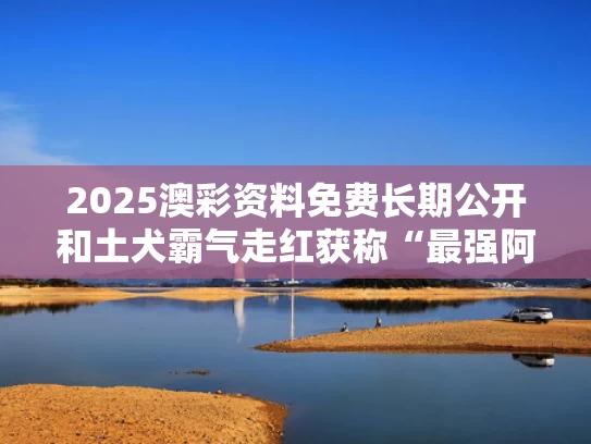 2025澳彩资料免费长期公开和土犬霸气走红获称“最强阿尔法狗”与土狗fate