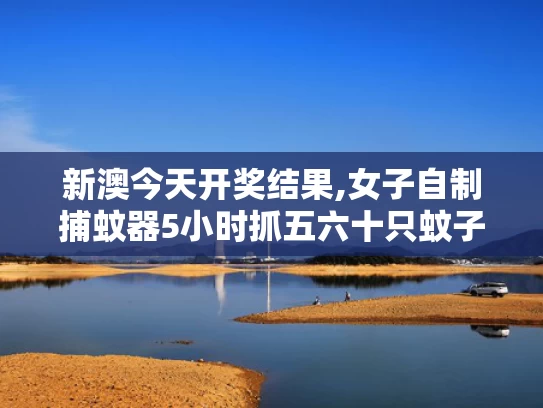 新澳今天开奖结果,女子自制捕蚊器5小时抓五六十只蚊子
