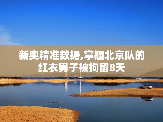 新奥精准数据,掌掴北京队的红衣男子被拘留8天