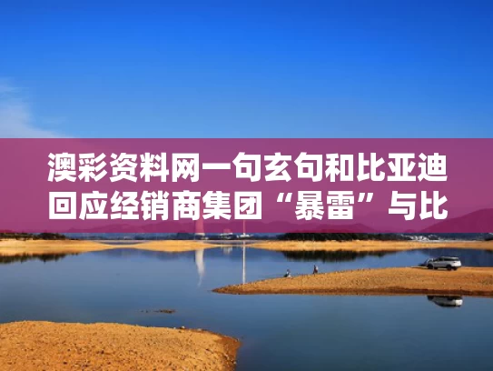 澳彩资料网一句玄句和比亚迪回应经销商集团“暴雷”与比亚迪汽车经销商