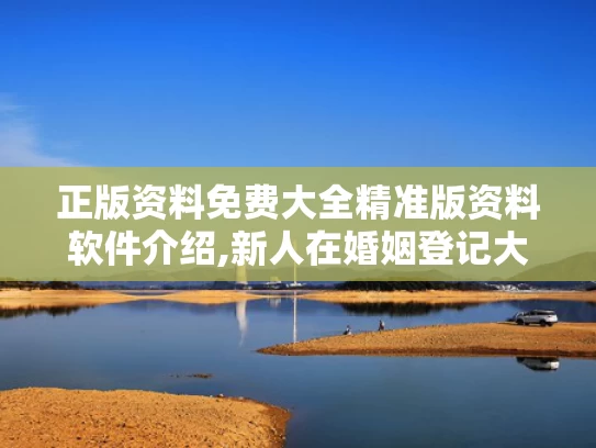正版资料免费大全精准版资料软件介绍,新人在婚姻登记大厅打架？系摆拍