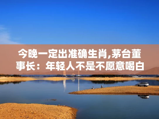今晚一定出准确生肖,茅台董事长：年轻人不是不愿意喝白酒