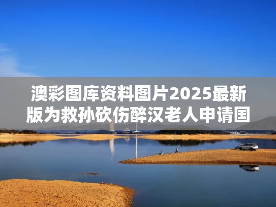 澳彩图库资料图片2025最新版	为救孙砍伤醉汉老人申请国赔128万