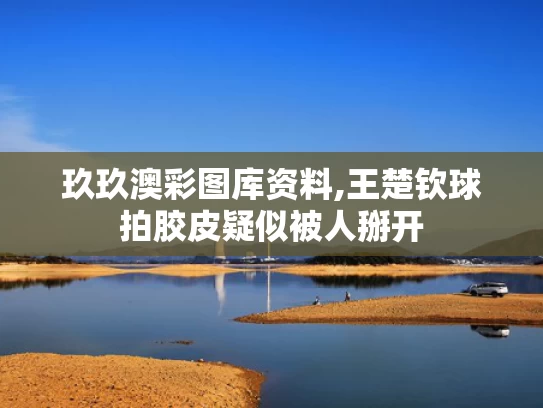 玖玖澳彩图库资料,王楚钦球拍胶皮疑似被人掰开