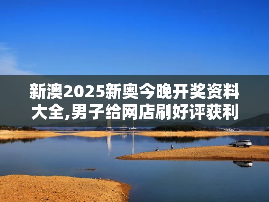 新澳2025新奥今晚开奖资料大全,男子给网店刷好评获利780万被判刑