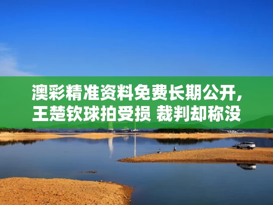 澳彩精准资料免费长期公开,王楚钦球拍受损 裁判却称没关系