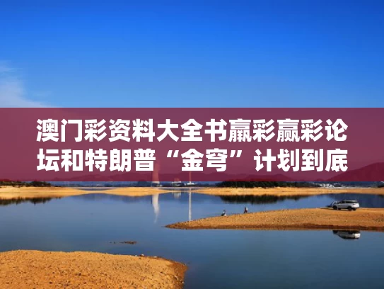澳门彩资料大全书羸彩赢彩论坛和特朗普“金穹”计划到底是怎么回事与金灿荣 特朗普当年怎么入主白宫