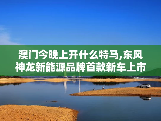 澳门今晚上开什么特马,东风神龙新能源品牌首款新车上市